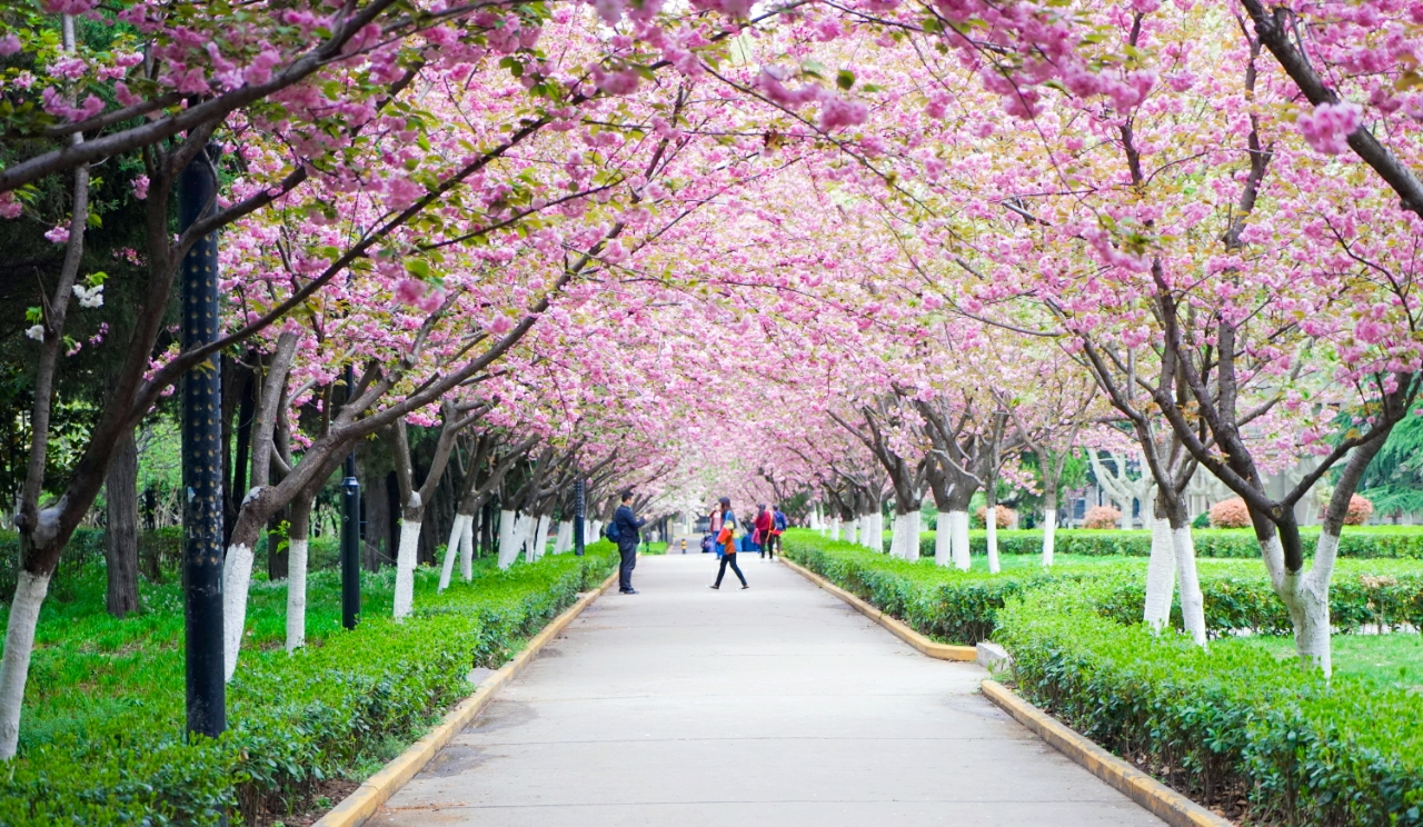 ӣ�����·۳��������յ�ױ������