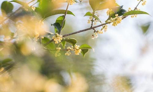 <b>ɽ��ĮĮʪ��</b>