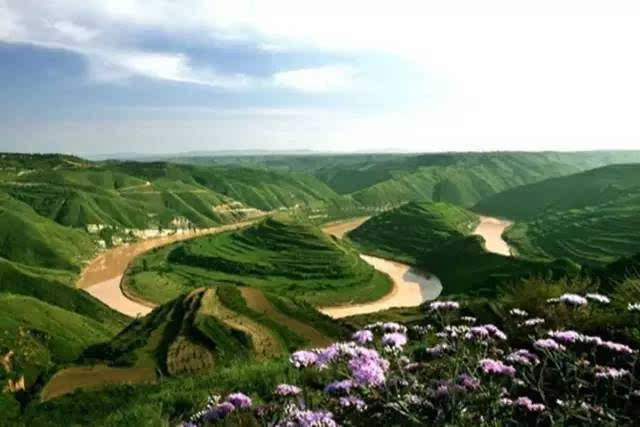 Ŷ ������