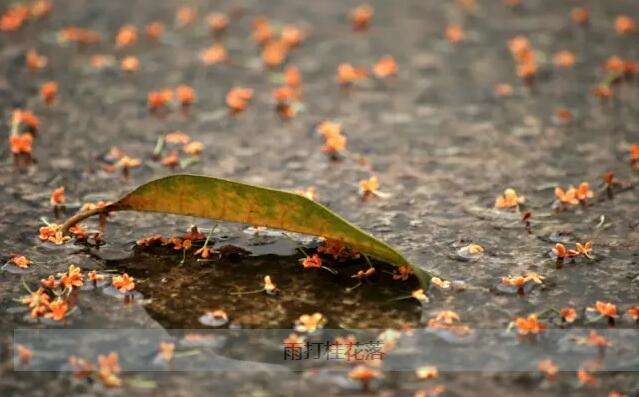 ����Ѱ��