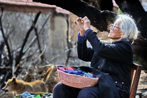 ��������߻�