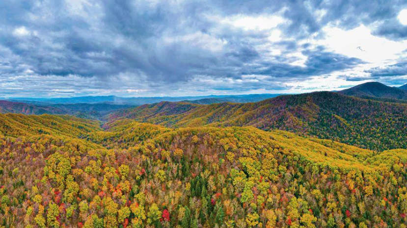 ʱ΢۲حǷʮ塱йչ»