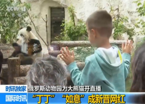 ֱ�������ۡ�20�� ����è�������������⡱�ɶ���˹����԰�½���