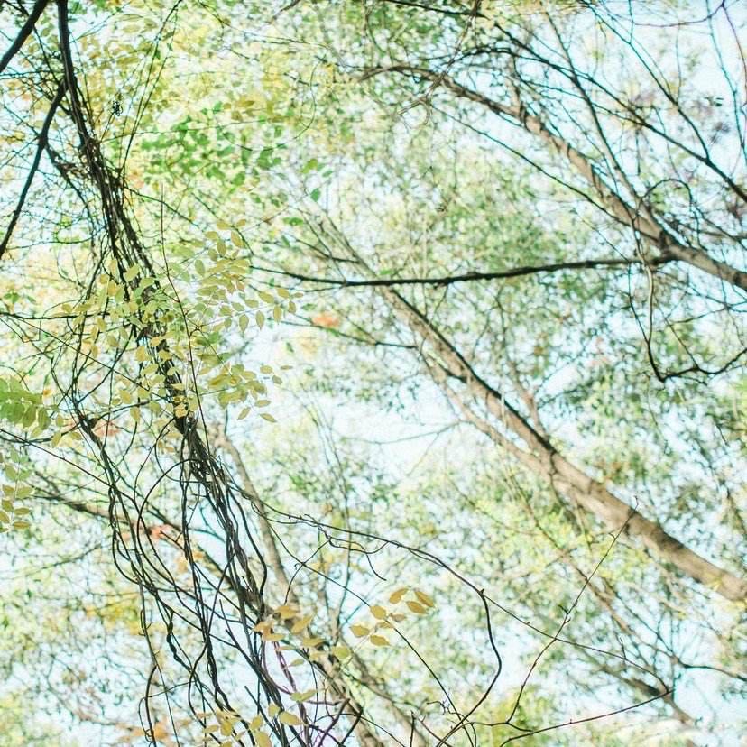 �����δʧԼ