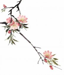 �ּ��һ���