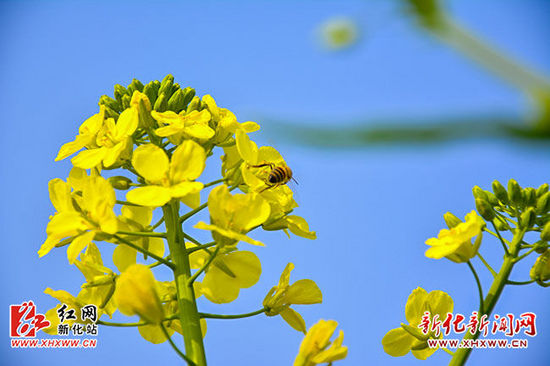 �Ͳ˻���������