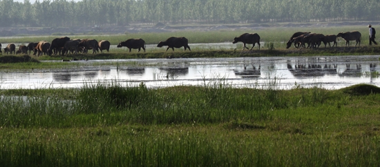 ����ʪ�أ����ҷŷ�����