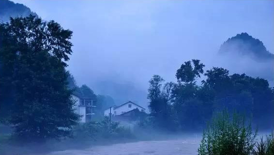 ���е���ƺ