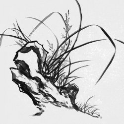 �������Զ