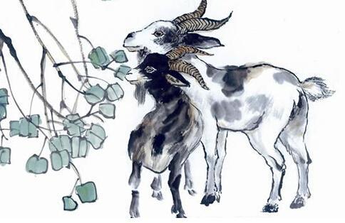 ����֮��