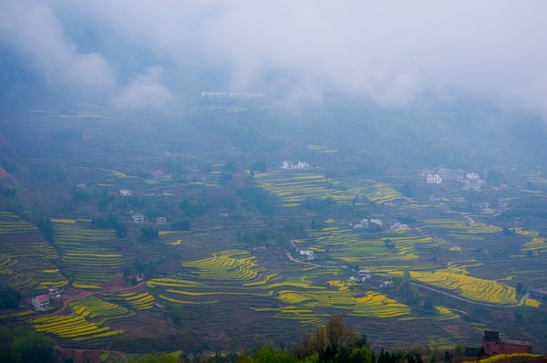 ���ϵ�����