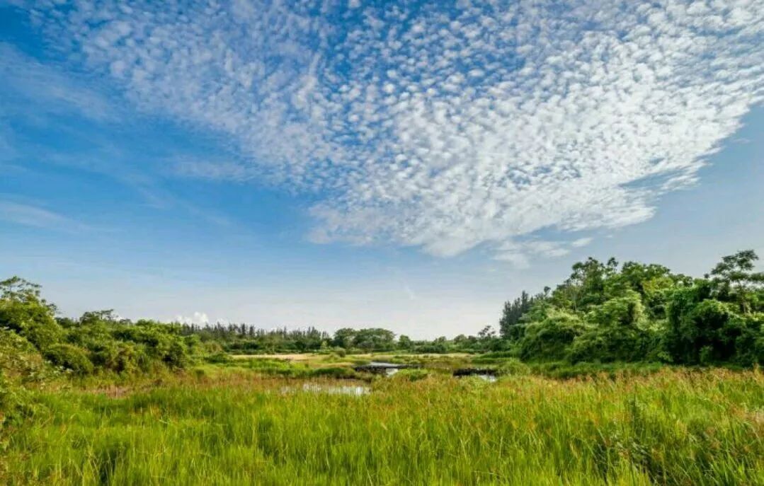 ����Ĵ���