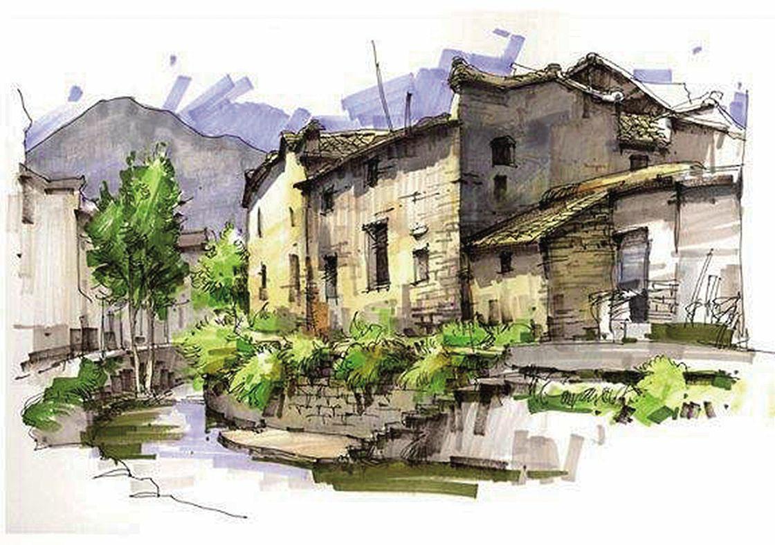 ϲ����Щ������йص�����