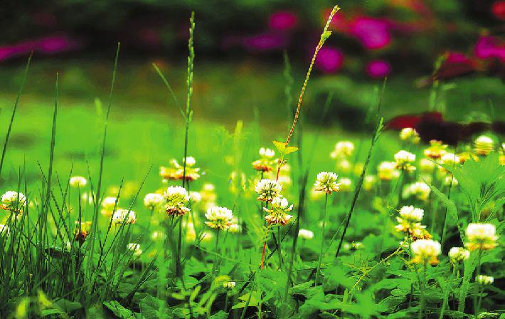 ����˫��