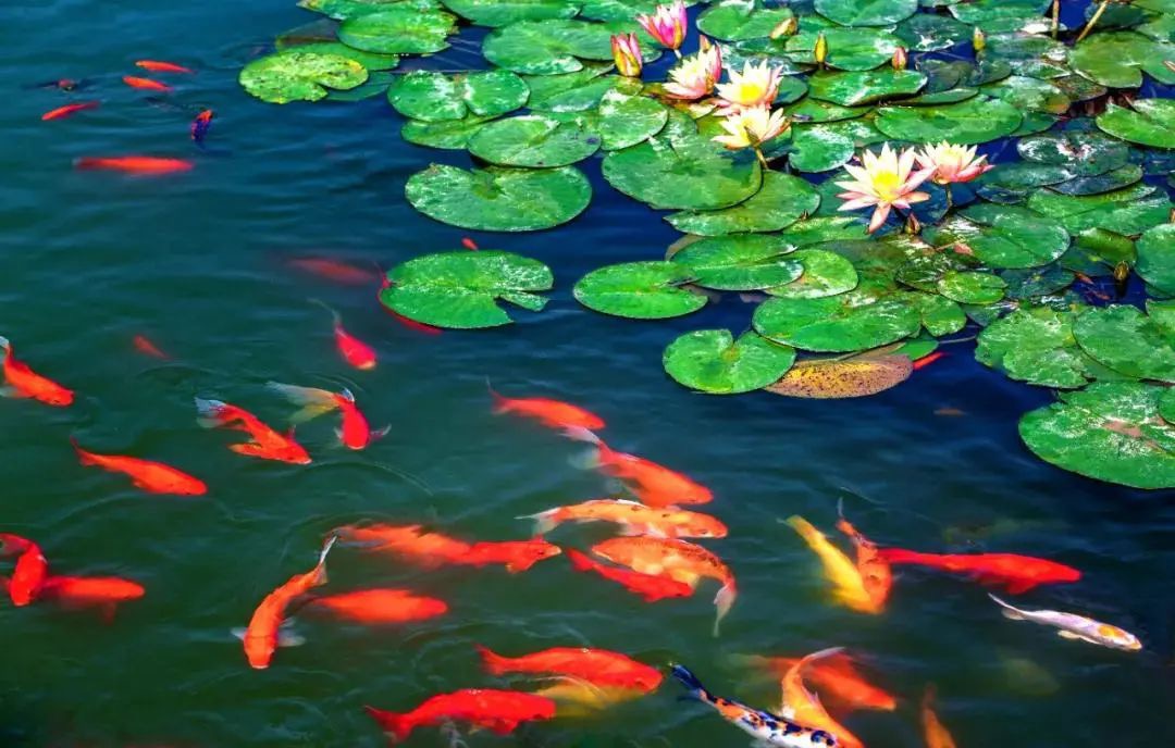 ������ź�����