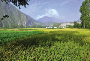 ��������ĺ���