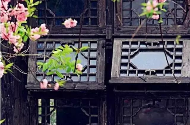 ��Щ����Щ��