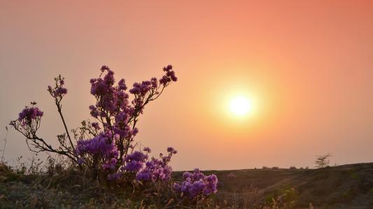 �׼��¶���