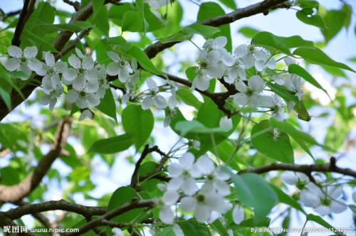 ��ҹ�����л���ѩӿ����һ�ף�