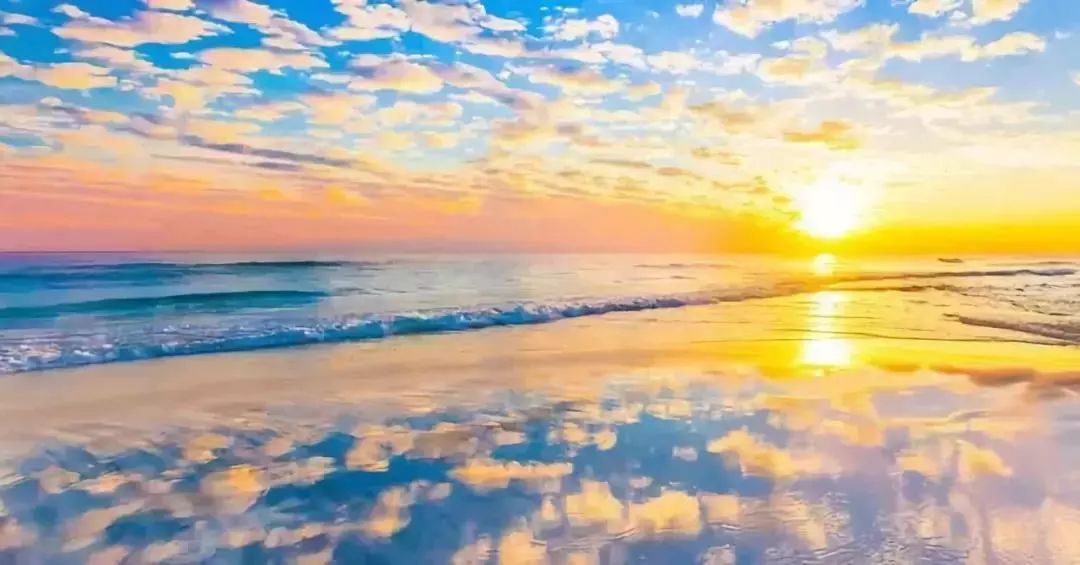 ��ų�ҹ�ֻ�ȴ�һ���ճ�