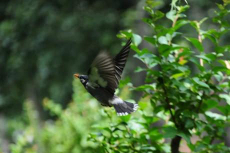 Ұ������