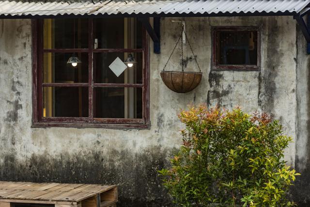 ʱ��Ʈҡ�����