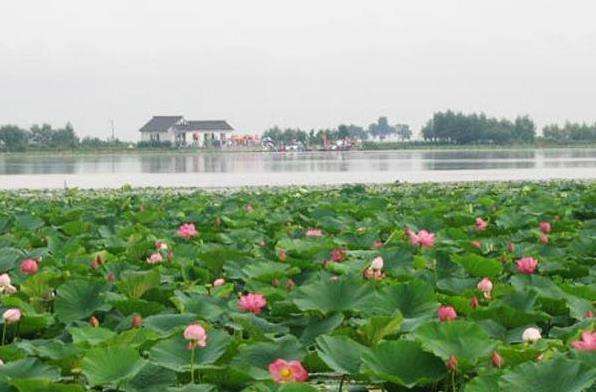 �����еĺ��Ļ�