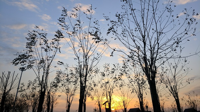 ����У���һĨ����