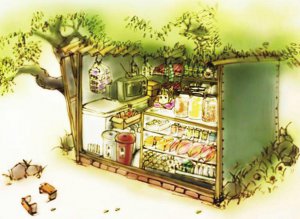 ��Щ��Թ�����ʳ