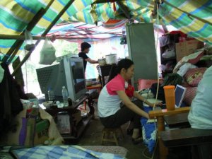 �Ի����ľ꣺��������Ӧ��̬��