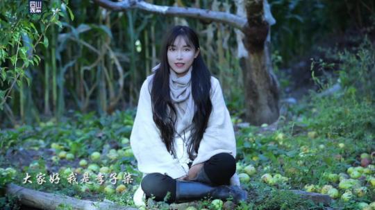 �����⣺�����ø�����˰����й�