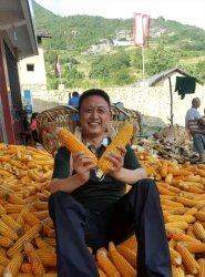 ������ʫ����ƶ�������Բ