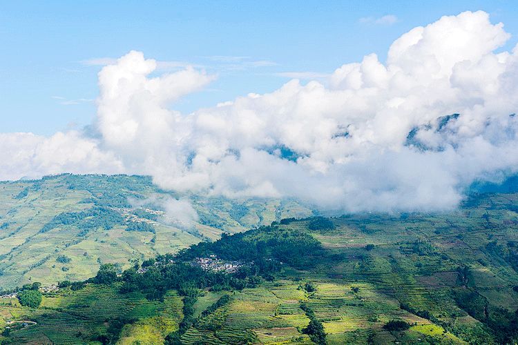 ����ңԶ������Ʈ���ĸ�ҥ����ʫ��