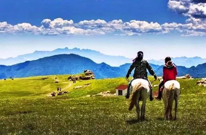 ��������ߵĸ���