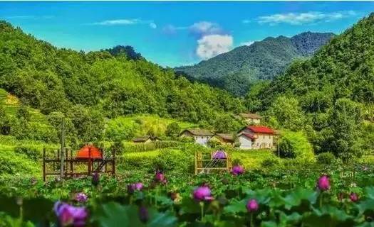 ���õĽ���