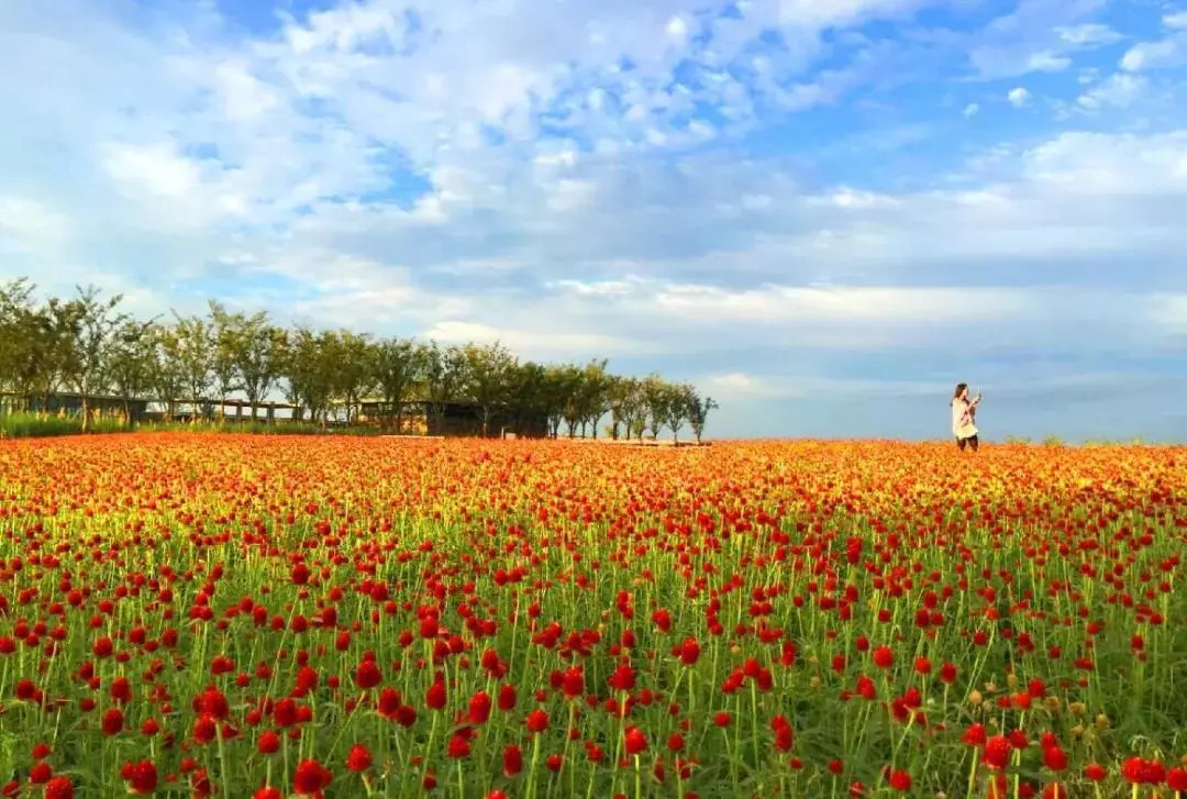 ��¶����ʪ��