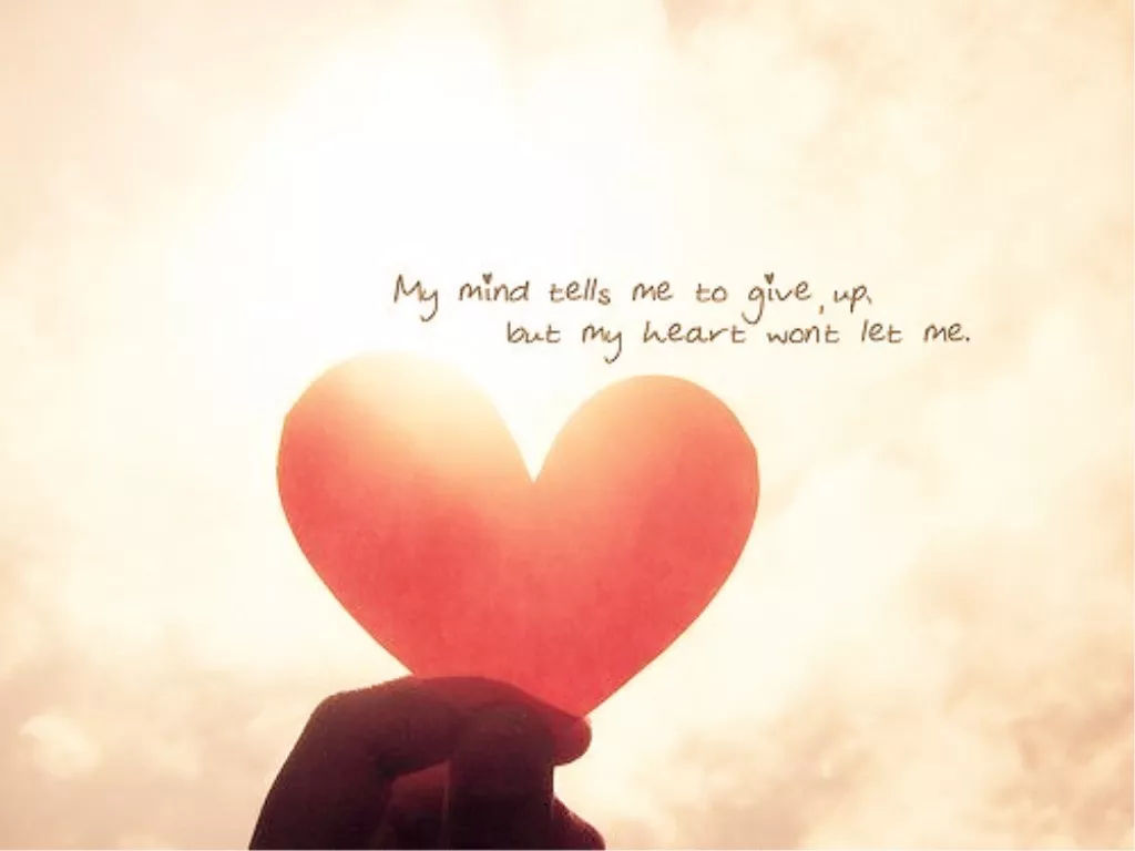 ��ů���໥��