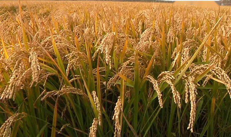 ����Ʈ��������