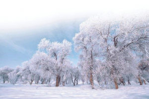 �����ĺ���