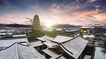 ��ʢ�����޷���������ɫ