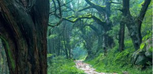 һʷ¡ԡɽ·ʷͳĳϮ볬Խ