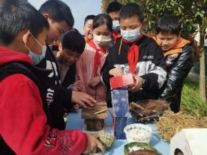 ������������Ͽ��������ѧУ������ΪС�񰲸��ҡ�