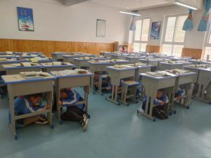 ���������ض���Сѧ��չ�����ѴӦ����ɢ����