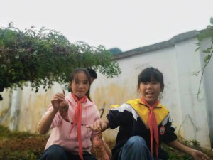 ������������Ͽ��������ѧУ��չ�Ͷ�����