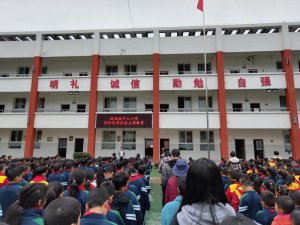 �����к���������������Сѧץʵ��ϸ������ȫ��������