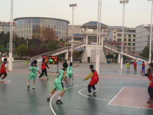 �����к���������������Сѧ��ȫ��Сѧ����������Ѽ�