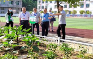 ������������ɣ԰������ѧУ�Ͷ��������۸ĸ��Ե���Ŀ�����ɹ���˶