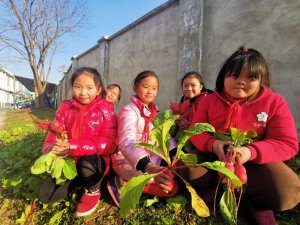 ������������Ͽ��������ѧУ��չ�������ժ�ڻ