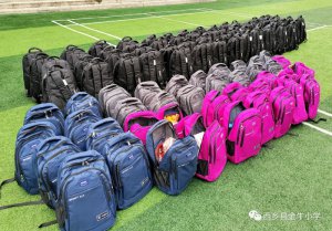 �����������ؽ�ţСѧ�ذ����ض�ͯ