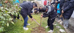 ������������Ͽ������ϪСѧ��չֲ���